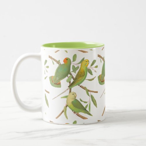 love birds and parakeets Two_Tone coffee mug