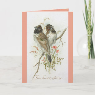 Love Birds Anniversary Greeting Card