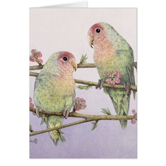 Love Birds Cards (Front)