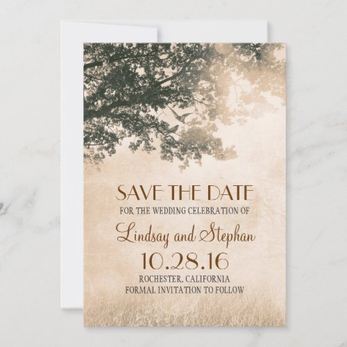 Love Birds Couple Old Tree Save The Date Invites