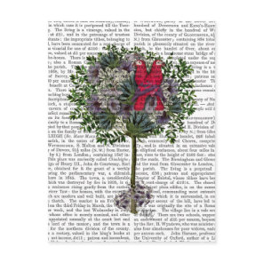 Love Birds in a Tree Postcard
