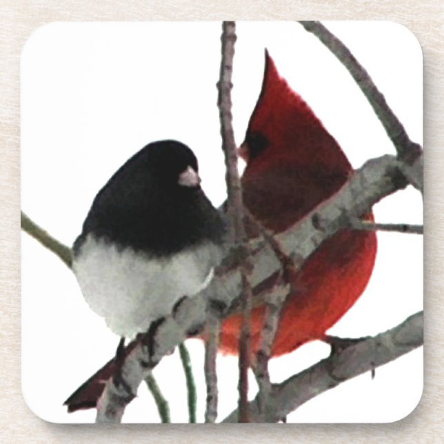 Love Birds Odd Couple Coaster (Front)