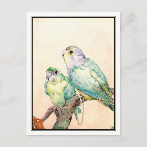 Love_birds _ Parrakeets by E J Detmold Postcard