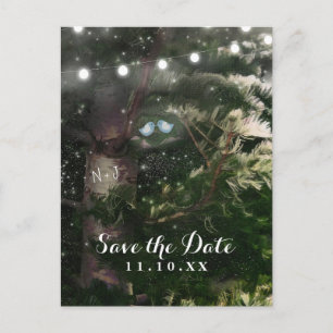 Love Birds + Pine Tree Night Save the Date Announcement Postcard