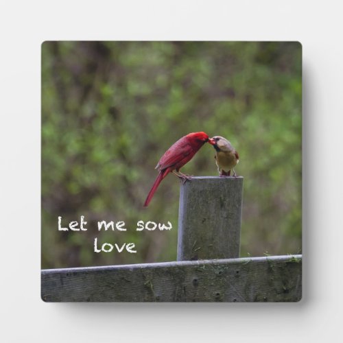 Love Birds __ Plaque