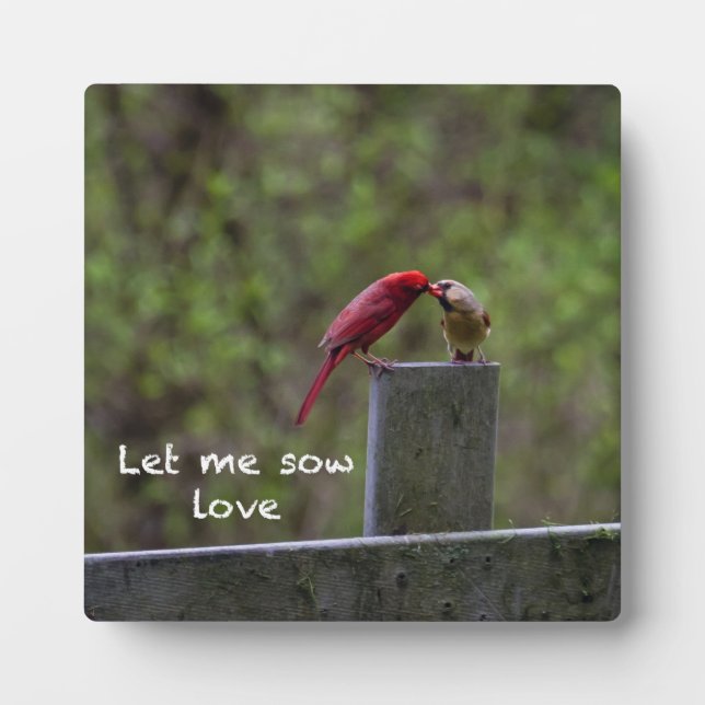 Love Birds -- Plaque (Front)