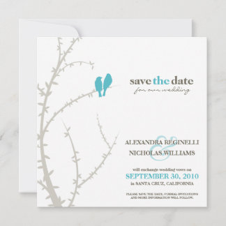 Love Birds Save the Date Announcement (aqua)