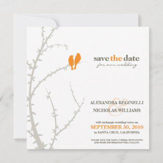 Love Birds Save the Date Announcement (orange)