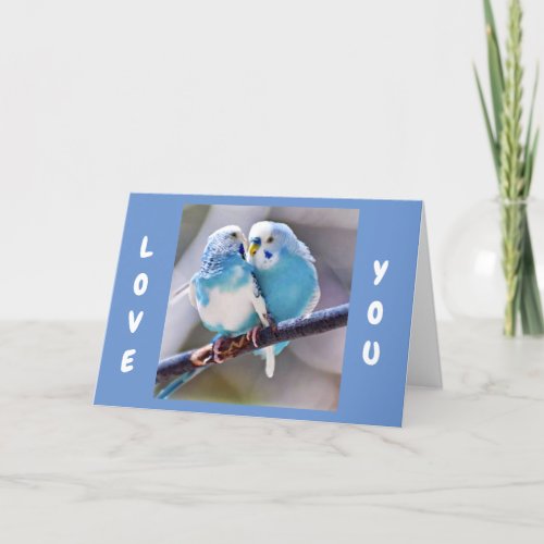 LOVE BIRDS TO SAY I LOVE YOU  LOVE CARD