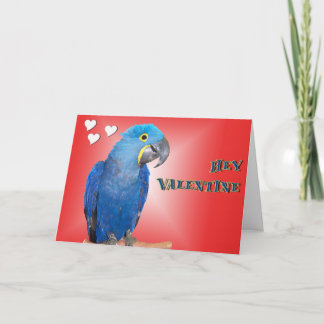 Love Bite Holiday Card