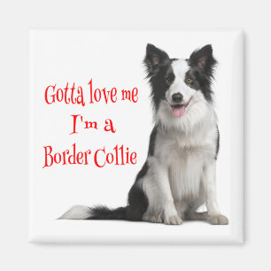 Love Black & White Border Collie Puppy Red Magnet