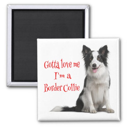 Love Black  White Border Collie Puppy Red Magnet