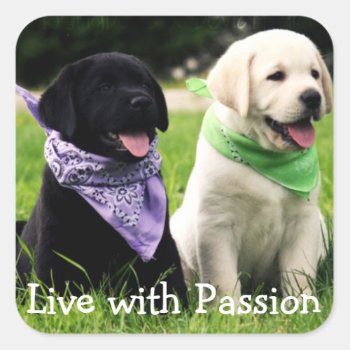 Love Black  Yellow Labrador Retriever Puppy Dogs Square Sticker