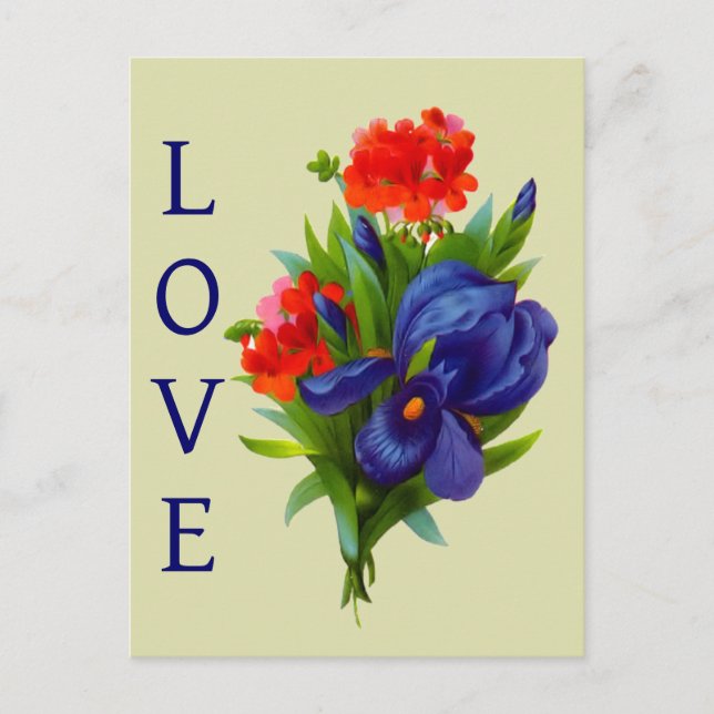 Love Blue Iris Flower Bouquet  Postcard (Front)