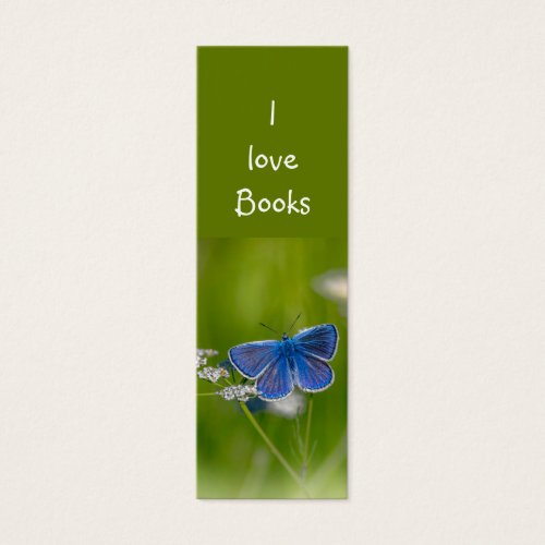 Love Books Blue Butterfly Garden Flower