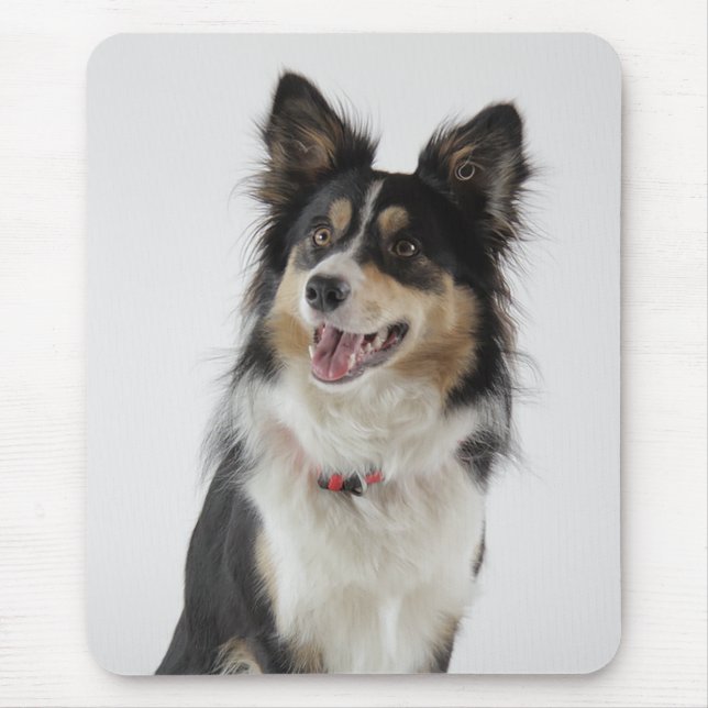 Love Border Collie Puppy Dog Mousepad (Front)