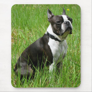 Love Boston Terrier Puppy Dog Computer Mousepad