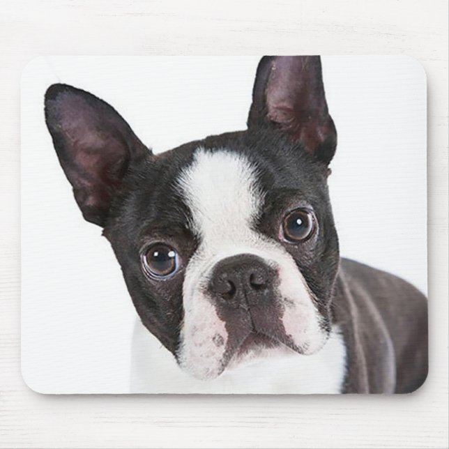 Love Boston Terrier Puppy Dog Computer Mousepad (Front)