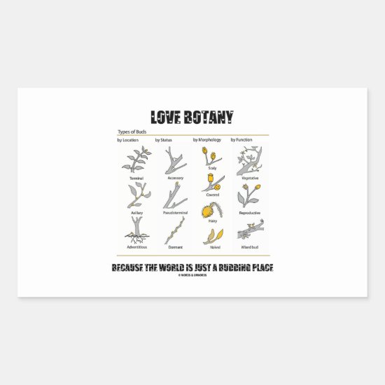 Love Botany Because The World Is Just A Budding Rectangular Sticker