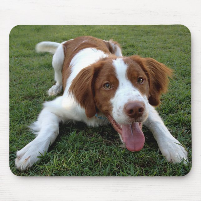 Love Brittany Spaniel Puppy Dog Mousepad (Front)
