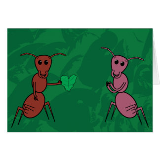 Love Bug Cards
