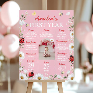 Love Bug Daisy Birthday Photo Milestone Poster