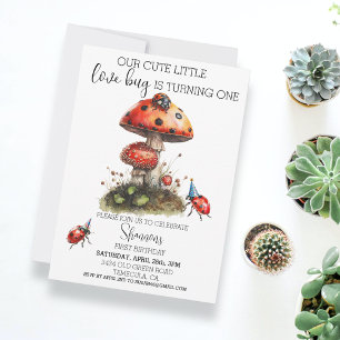 Love Bug Ladybug Birthday Party  Invitation