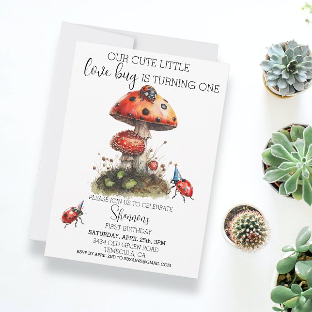 Love Bug Ladybug Birthday Party  Invitation (Creator Uploaded)