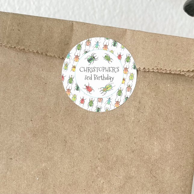 Love Bugs Beetles Kids Birthday Classic Round Sticker (Creator Uploaded)