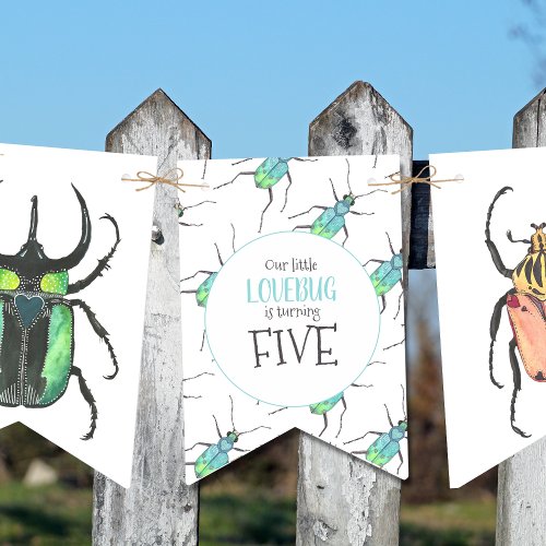 Love Bugs Birthday Party Bunting Flags