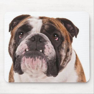 Love Bulldogs Puppy Mousepad