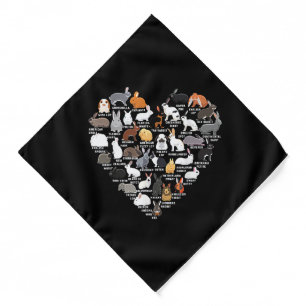 Love Bunnies Funny Rabbit Heart  Bandana