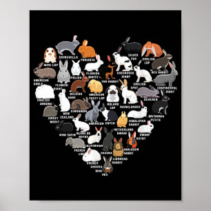 Love Bunnies Funny Rabbit Heart Poster