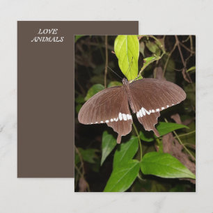 LOVE BUTTERFLY GIFT FOR ANYONE NOTE CARD
