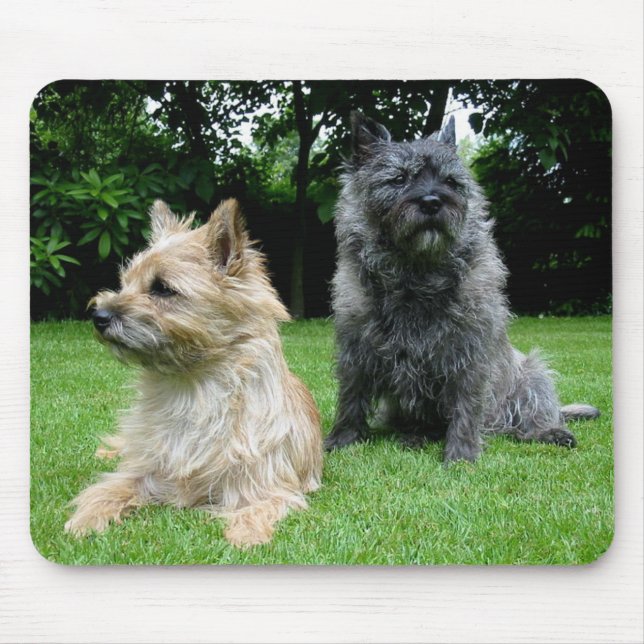 Love Cairn Terrier Puppy Dog Mousepad (Front)