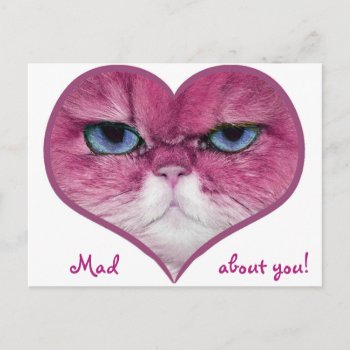 Love Card Pink Cat Heart Mad About You by myMegaStore at Zazzle