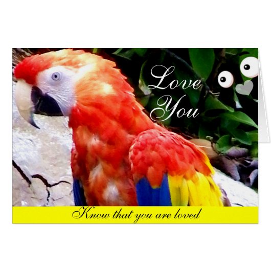 Love_ Cards (Front Horizontal)
