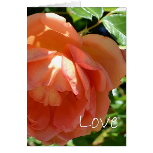 Love Cards (Front)