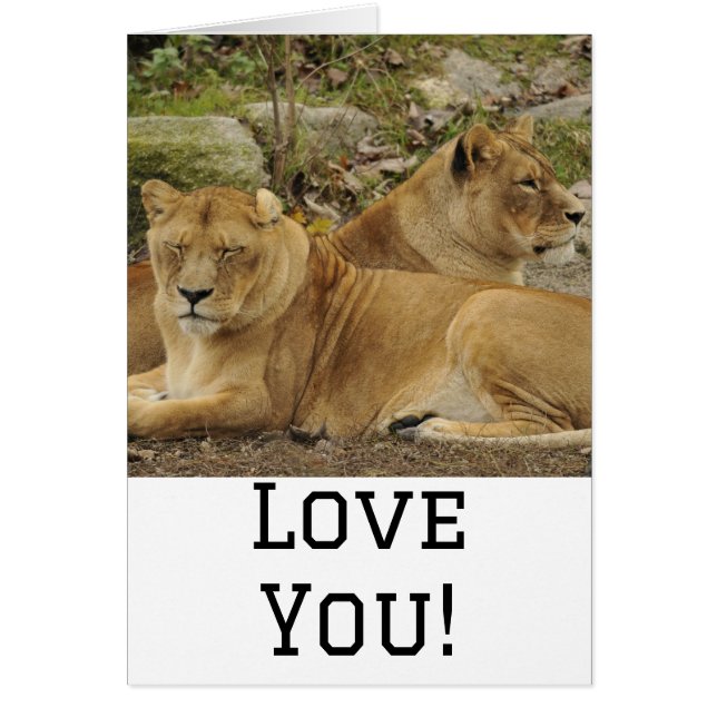 Love  cards (Front)