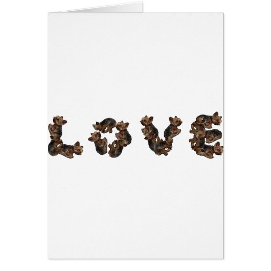 Love Cards (Front)