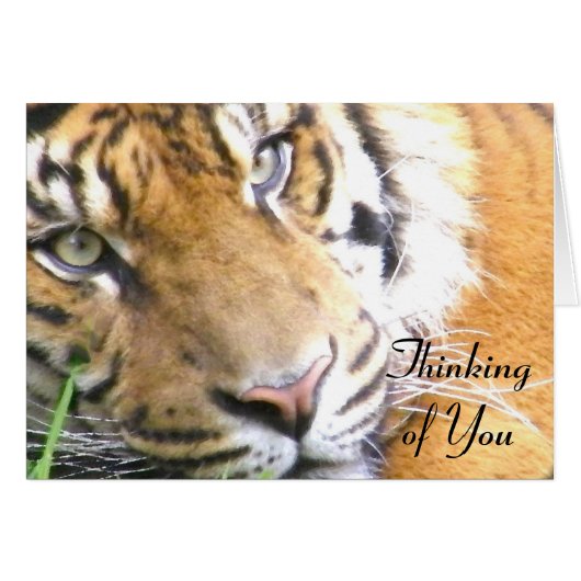 , Love_ Cards (Front Horizontal)