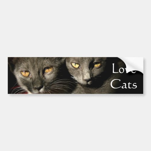 Love Cats Bumper Sticker