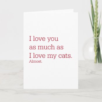 Love Cats Holiday Card by rdwnggrl at Zazzle