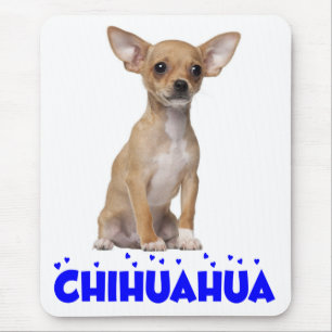 Love Chihuahua Puppy Dog Canine Blue Mouse Pad