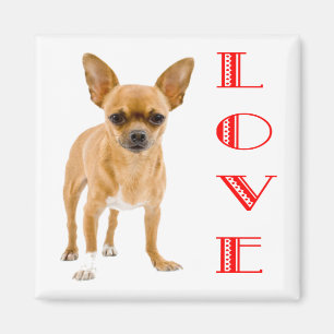 Love Chihuahua Puppy Dog Fridge Magnet