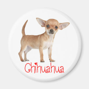 Love Chihuahua Puppy Dog Fridge Magnet