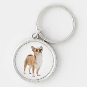 Love Chihuahua Puppy Dog Key Chain