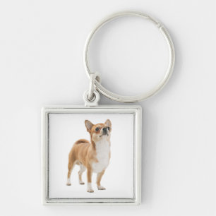 Love Chihuahua Puppy Dog Key Chain