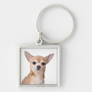 Love Chihuahua Puppy Dog Keychain