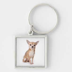 Love Chihuahua Puppy Dog Keychain